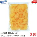 送料無料 はごろも 甘みあっさり りんご スライス パウチ 1.5kg ×2袋 (リンゴ 林檎)