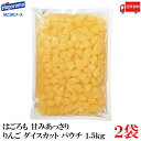 送料無料 はごろも 甘みあっさり りんご ダイスカット パウチ 1.5kg ×2袋 (リンゴ 林檎)