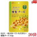 送料無料 なとり ゴールドパック 一度は食べていただきたい 燻製チーズ 64g×20袋