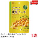 【訳あり】送料無料 なとり ゴールドパック 一度は食べていただきたい 燻製チーズ 64g×1袋
