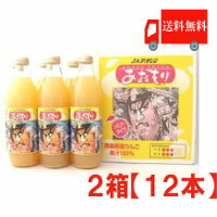 送料無料 アオレン　ねぶた 瓶入りレギュラータイプ1000ml×2箱【12本】 【JAアオレン/リンゴジュース/りんごジュース/果汁100％/1L】