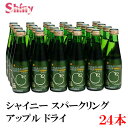 シャイニー スパークリングアップル ドライ 200ml 瓶×1箱【24本】 (青森県産 りんごジュース apple sparkling)