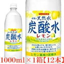 伊賀の天然水 炭酸水レモン 1000mlペット 1箱【12本】【サンガリア SANGARIA 1リットル 1L】