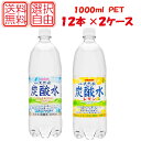 送料無料 選べる2ケース伊賀の天然水 炭酸水/炭酸水レモン 1000mlペット×2箱【24本】（サンガリア）