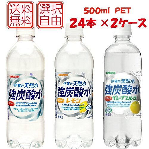 送料無料 選べる2ケース伊賀の天然水 強炭酸水/強炭酸水レモン/強炭酸水グレープフルーツ 500mlペット×2箱【48本】（サンガリア）のサムネイル