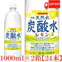 送料無料 伊賀の天然水 炭酸水レモン 1000mlペット×2箱【24本】【サンガリア/SANGARIA/1リットル/1L】