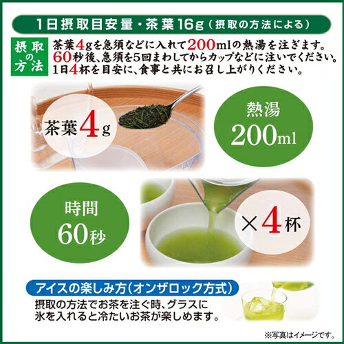 送料無料 機能性表示食品 伊藤園 一番摘みのお〜いお茶 かなやみどりブレンド 100g×2個 3