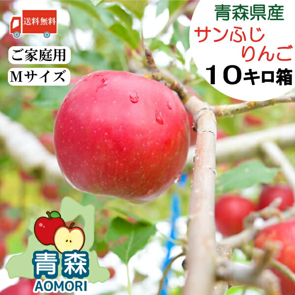 送料無料 青森県産 りんご サンふじ 【Mサイズ】 10kg箱 (36〜40玉)【青森産 青森】ふじりんご