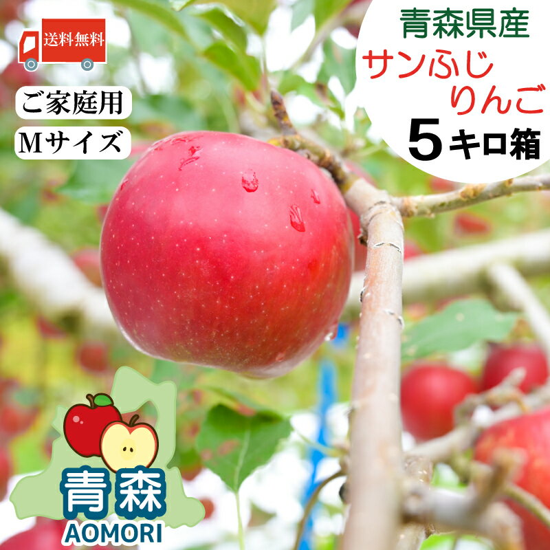 送料無料 青森県産 りんご サンふじ 【Mサイズ】 5kg箱 （16～20玉）【青森産 青森】ふじりんごのサムネイル