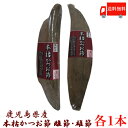鹿児島県産 本枯鰹節 背節(雄節)1本 腹節(雌節)1本 計2本 (全国送料無料)(かつお節 本枯れ節)