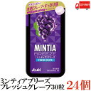 送料無料 アサヒグループ食品 ミンティアブリーズ フレッシュグレープ 30粒×24個