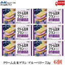 送料無料 アサヒグループ食品 クリーム玄米ブラン ブルーベリー 72g×6個