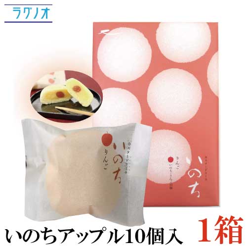 ラグノオ ささき いのち アップル 10個入×1箱（りんご カスタードケーキ）のサムネイル