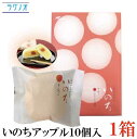 ラグノオ ささき いのち アップル 10個入×1箱(りんご カスタードケーキ)