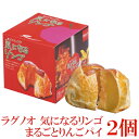 ラグノオ ささき 気になるリンゴ×2個(りんごまるごとアップルパイ)