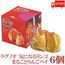 ラグノオ アップルパイ 送料無料 ラグノオ ささき　気になるリンゴ×6個（りんごまるごとアップルパイ）