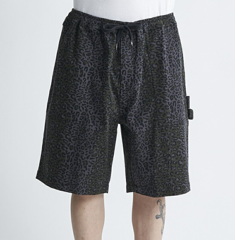 ディーシーシューズ DC SHOES 　24 SUPER WIDE PAINTER SHORT ショートパンツ Mens ウォークショーツ ショーツ ハーフパンツ ハーパン 【DWS241009 LEO】