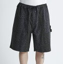 ディーシーシューズ DC SHOES 24 SUPER WIDE PAINTER SHORT ショートパンツ Mens ウォークショーツ ショーツ ハーフパンツ ハーパン 【DWS241009 LEO】