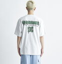 fB[V[V[Y DC SHOES @24 TAKEEE8 GRAFF FT SS TVc Mens T-shirts yDST241019 GRYz