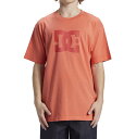 アウトレット価格 DC ディーシー シューズ DC STAR PIGMENT DYE Tシャツ ティーシャツ 半袖 ショートスリーブ(4)