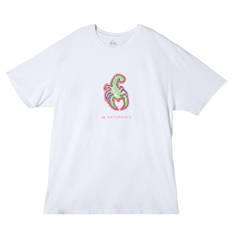 セール SALE Quiksilver クイックシルバー SNYC SS GRAPHIC TEE Tシャツ Tシャツ ティーシャツ