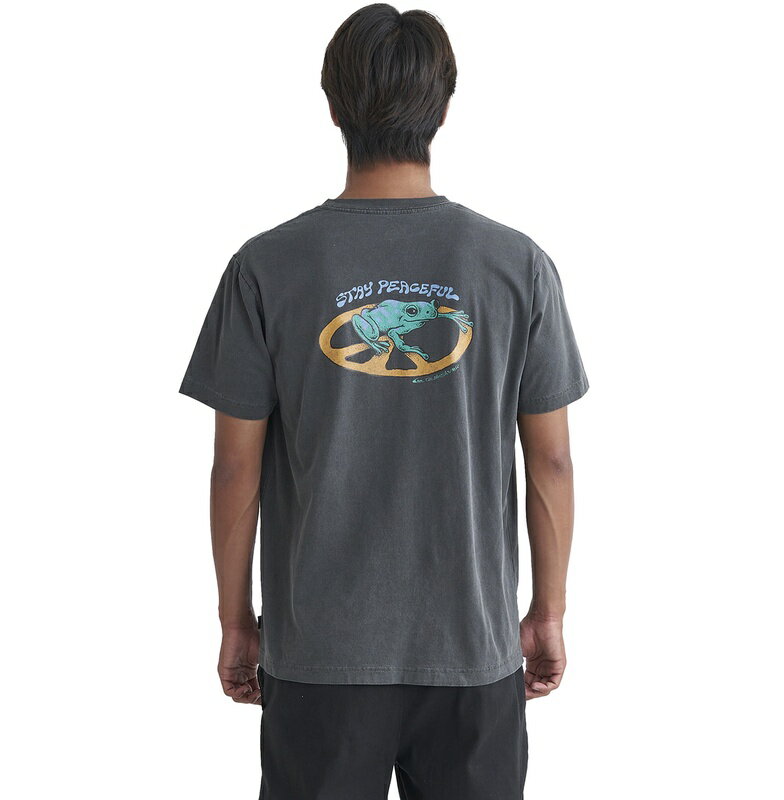 【お買い物マラソン期間はP10倍!】アウトレット価格 Quiksilver クイックシルバー STAY PEACEFUL ST メンズ Tシャツ ティーシャツ 半袖 ショートスリーブ 半そで