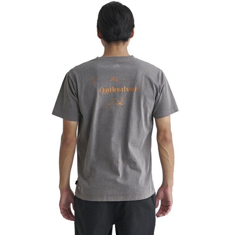 åС QUIKSILVER JUNGLEMAN ST T Mens T-shirts QST241004 DBR