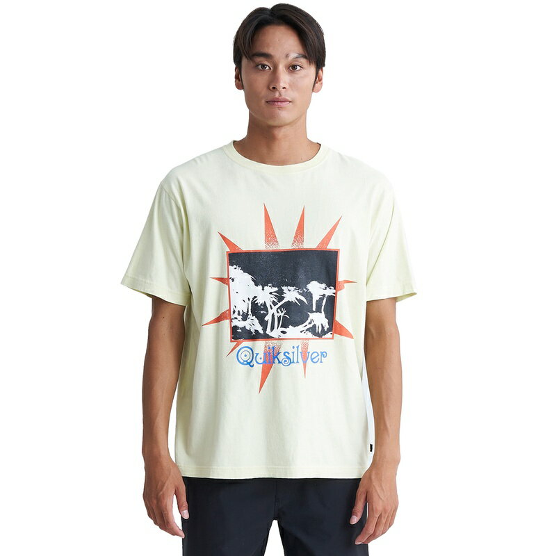 アウトレット価格 Quiksilver クイックシルバー GREY DAYS ST メンズ Tシャツ ティーシャツ 半袖 ショートスリーブ 半そで