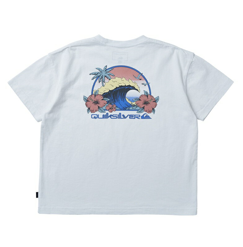 åС QUIKSILVER RIDING TODAY ST YOUTH å T Kids T-shirts KST241003 WHT