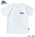Quiksilver クイックシルバー QUIK DROP SS YOUTH キッズ 男の子 Tシャツ ティーシャツ サーフ ショートスリーブ 半袖 半そで