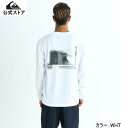 セール SALE Quiksilver クイックシルバー GOLDEN RATIO LS メンズ ロングTシャツ ロングティーシャツ ロンT ロングスリーブ サ...