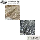 web20220113-02 Pieced Stars 10cm | 数量1＝10cmです