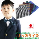 ギンガムチェック ポケットチーフ 日本製 チェック ハンカチーフ キッズ 子供用 お子様用 幼稚園児 小学生 子供 入園式 卒園式 入学式 卒業式 結婚式 ステージ衣装 発表会 兄弟 お揃い ペアルック