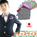 ペイズリー ポケットチーフ 日本製 エスニック ハンカチーフ キッズ 子供用 お子様用 幼稚園児 小学生 子供 入園式 卒園式 入学式 卒業式 結婚式 ステージ衣装 発表会 兄弟 お揃い ペアルック 派手 目立つ
