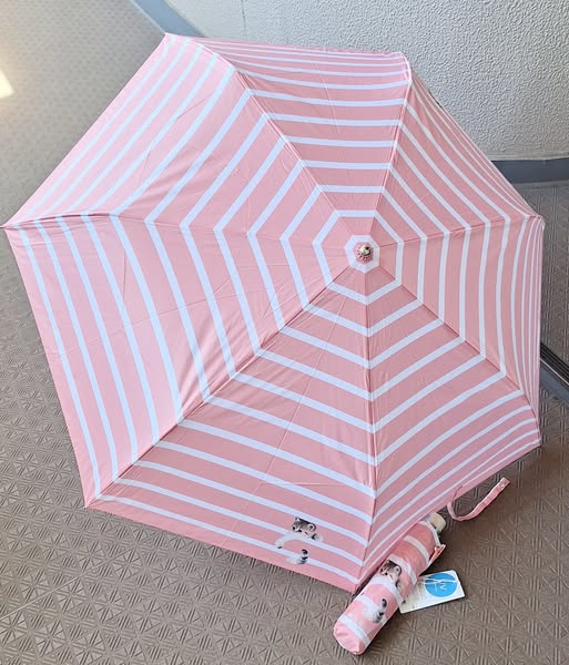 Rakuten - ポール＆ジョー　猫　キャット　モチーフ　折りたたみ　傘　ストライプ柄