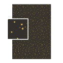 【公式ショップ】 デコパッチ デコパッチペーパーTEXTURE スター 【おしゃれ かわいい エコで簡単リメイク DIY】 フランス生まれのデコツール