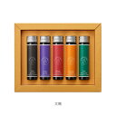 【公式ショップ】インクセット ジャックエルバン エッセンシャルインク コフレ 各15ml 5本入【生誕350年 フランスの伝統的ブランドのインク JACQUES...