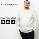 【送料無料】大きいサイズ メンズ ニット 長袖 ニット セーター 5L 4L 3L XXXXL XXXL XXL クルーネック ニットセーター 長袖ニット ケーブルニット ブランド 春 春服 春物 夏 夏服 夏物 春夏 オシャレ お洒落 白 黒 オーバーサイズ 大きい 大きめ イワショー