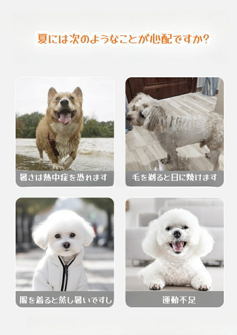 �ڲƤθ��λ����ɬ�ܤǤ�!��UPF50+ �糰������Ǥ��ޤ� ������ �뤵�к� ȴ���ˤ��� ���å� ˹�ҤĤ� �»��ɻ� ��OK ɹǹ�Ĥ� ��³��Ǯ ���襤�� ��å� �ѡ��ץ� XS~XXL AIRLOOP �����׳ݤ���ǽ �ѥå���� �̵��������� ȩ��ͥ���� ���襤�� �ץ쥼���