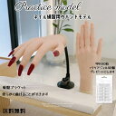 送料無料検定用品 練習用品 モデルハンド セット ネイル関係雑貨 ハンド モデルハンド ネイリスト検定 練習用ネイルチップ クリアジェル 橋脚つき ネイル 便利...
