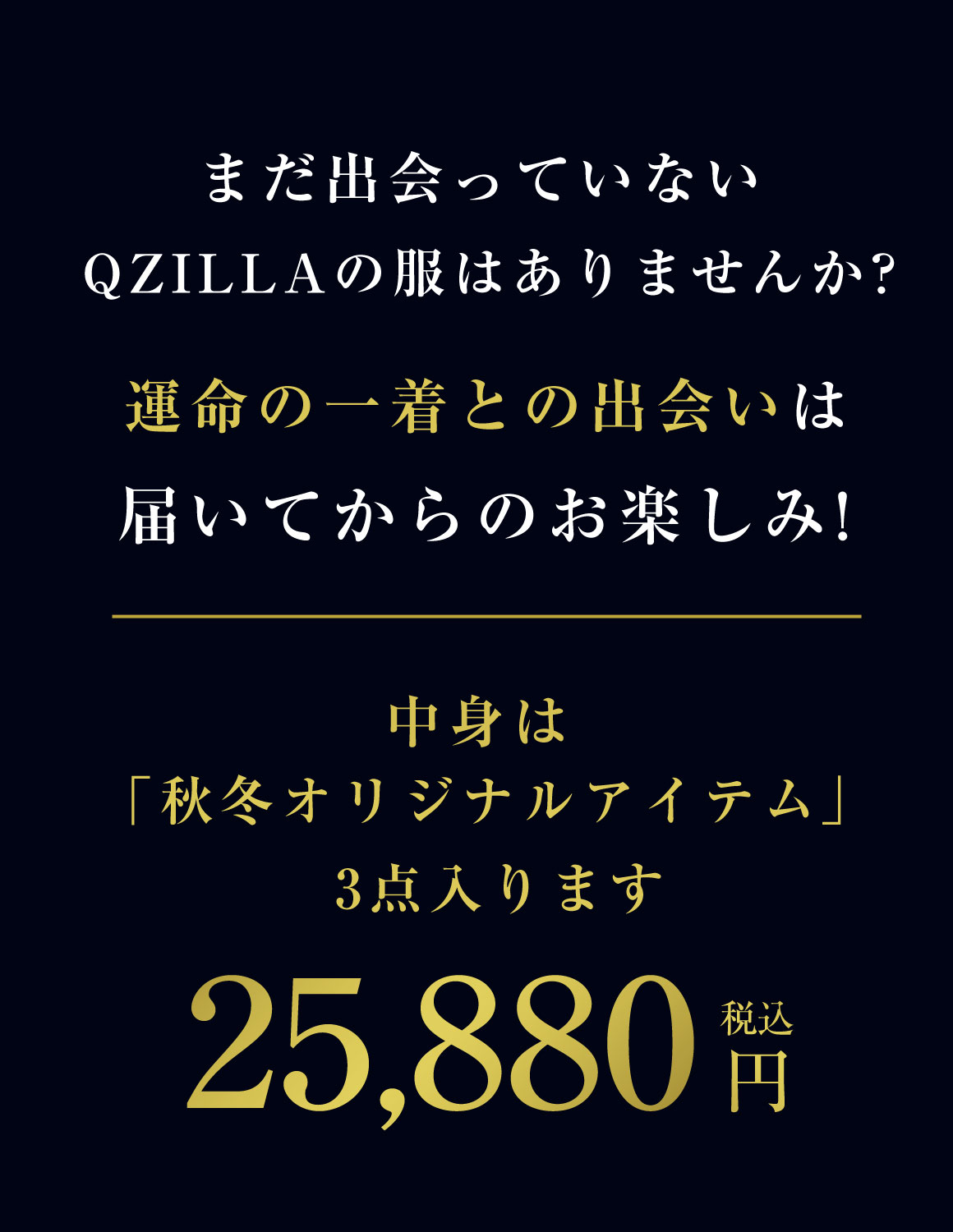【大きいサイズ メンズ】 QZILLAオリジナルデザイン もう出会う運命だった服袋 3点入り 福袋 パーカー スウェット コート ジャケット パンツ 3L/4L/5L