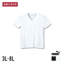 PUMA プーマ 2枚入り 抗菌消臭 Tシャツ 半袖 メンズ 