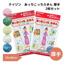 テイジン あっちこっちふきん【厚手/2枚】【メール便送料無料】掃除 引っ越し ガラス 洗剤不使用 新生活 cloth クロス 年末