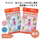 テイジン あっちこっちふきん【厚手ハーフ/1枚】【送料88円~】掃除 引っ越し 食器 ガラス 新生活 cloth