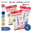 テイジン あっちこっちふきん【L/3枚】【メール便送料無料】掃除　引っ越し　ガラス　洗剤不使用　掃除　新生活　cloth　クロス