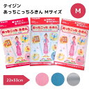 テイジン あっちこっちふきん【Mサイズ3枚】【メール便送料無料】掃除　引っ越し　ガラス　洗剤不使用 新生活　ふきん