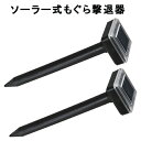 ソーラー式 モグラ撃退器 2本入 SV-5141 モグラ 退治 もぐら 撃退 忌避剤 モグラ撃退器 2本入(4)
