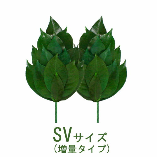 榊プリザーブドフラワー さかき 仏壇 神棚 神具 お榊 仏花 日本製 丹波産 榊 SVサイズ 増量タイプ