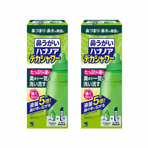 ハナノア デカシャワー 鼻うがい 鼻づまり 鼻水 鼻洗浄 専用洗浄液 小林製薬　2個セット