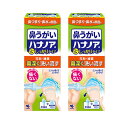 ハナノア 鼻うがい 鼻づまり 鼻水 鼻洗浄 専用洗浄液 小林製薬 500ml 2個セット